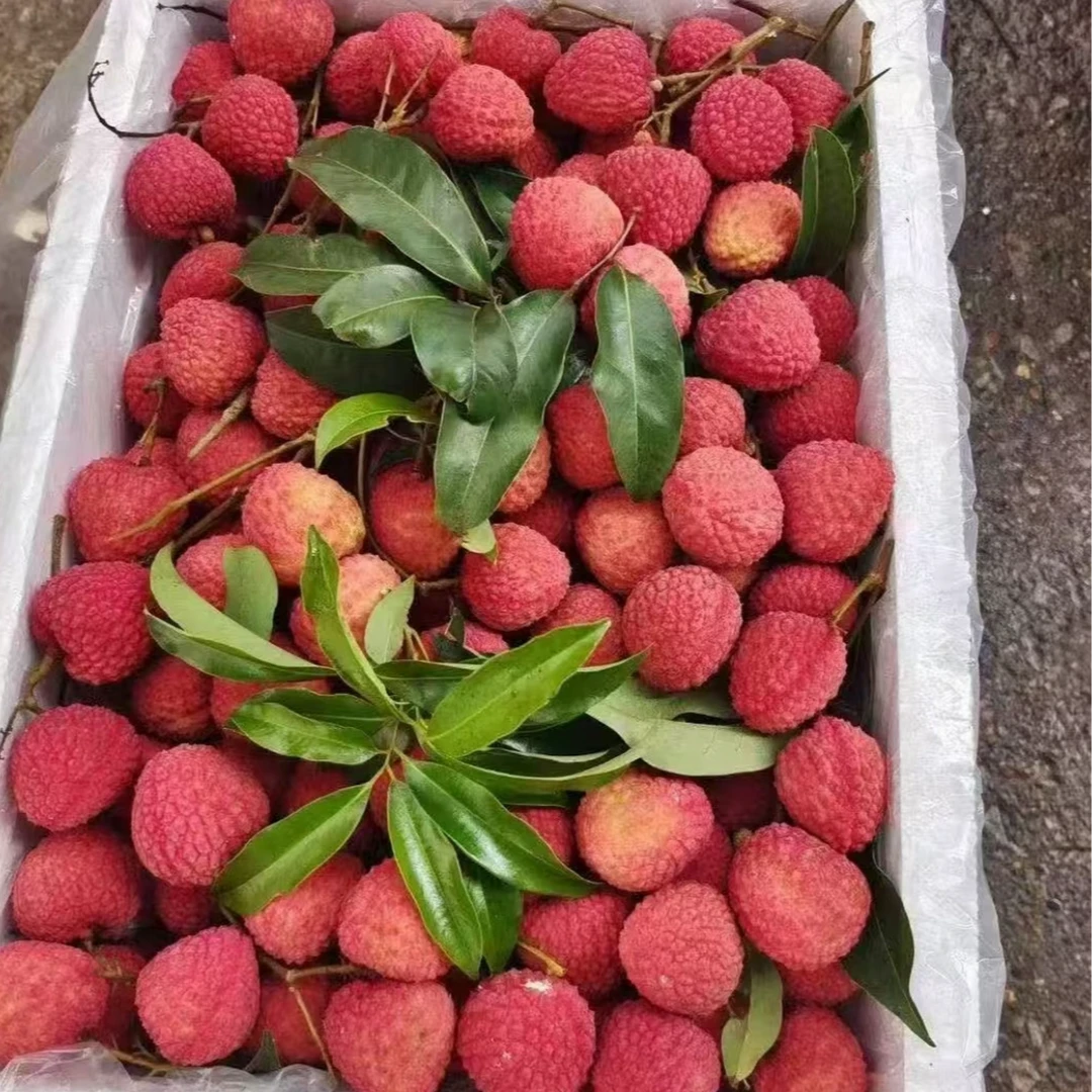 【散装】广西情人荔枝2斤装广西壮族自治区