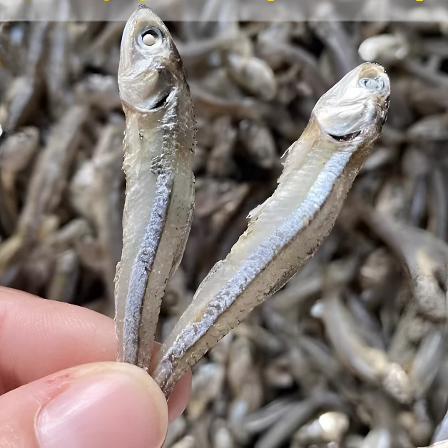 公鱼干 渔民自晒 炒菜下饭菜