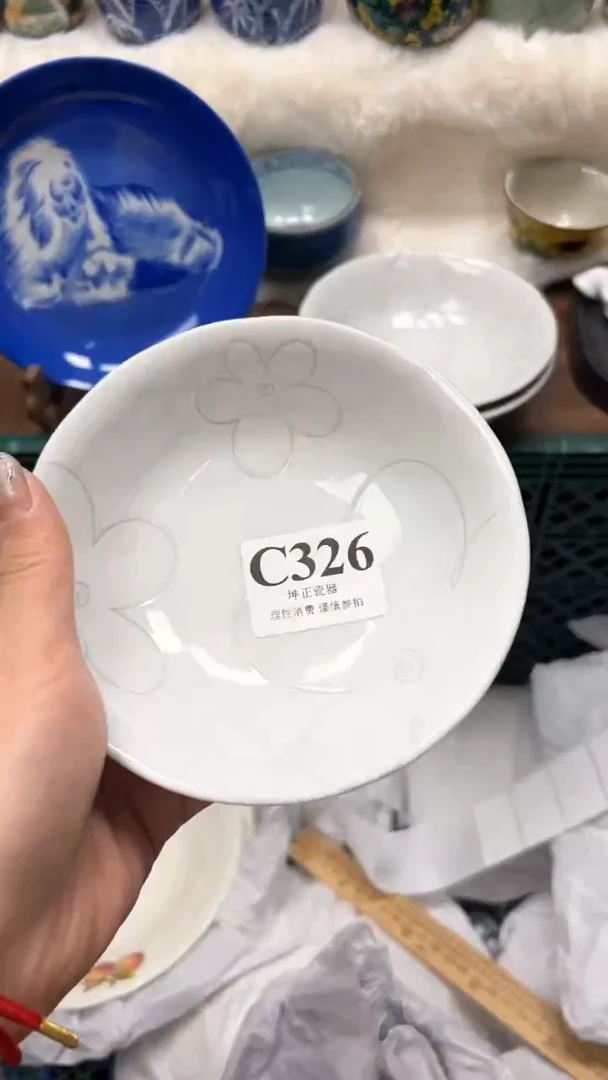 【闪购商品】瓷片          C326