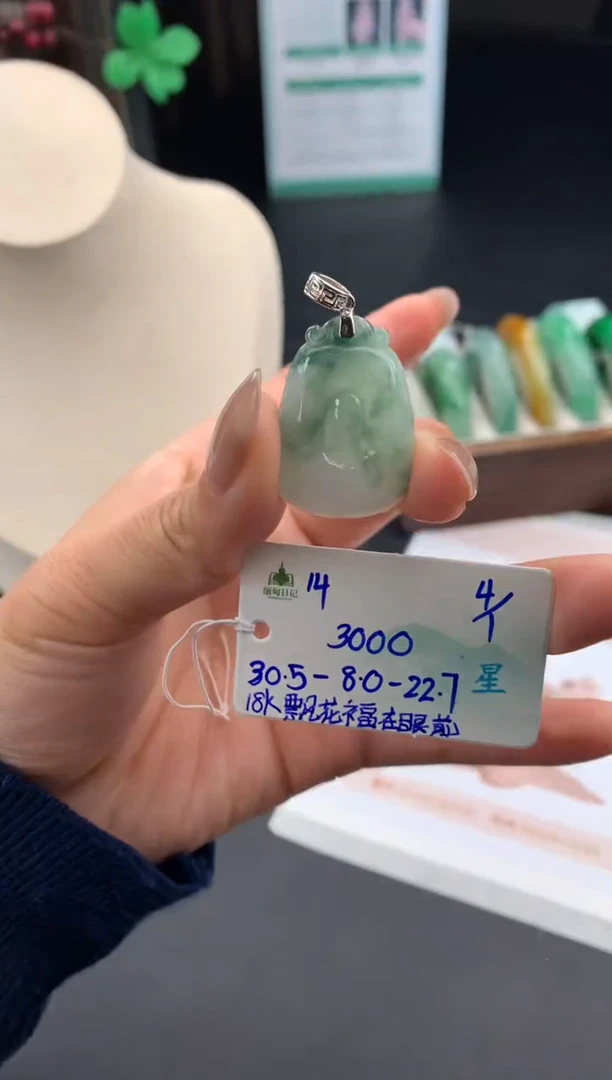 颈饰未镶嵌翡翠翡翠自带#送人#，假一赔三