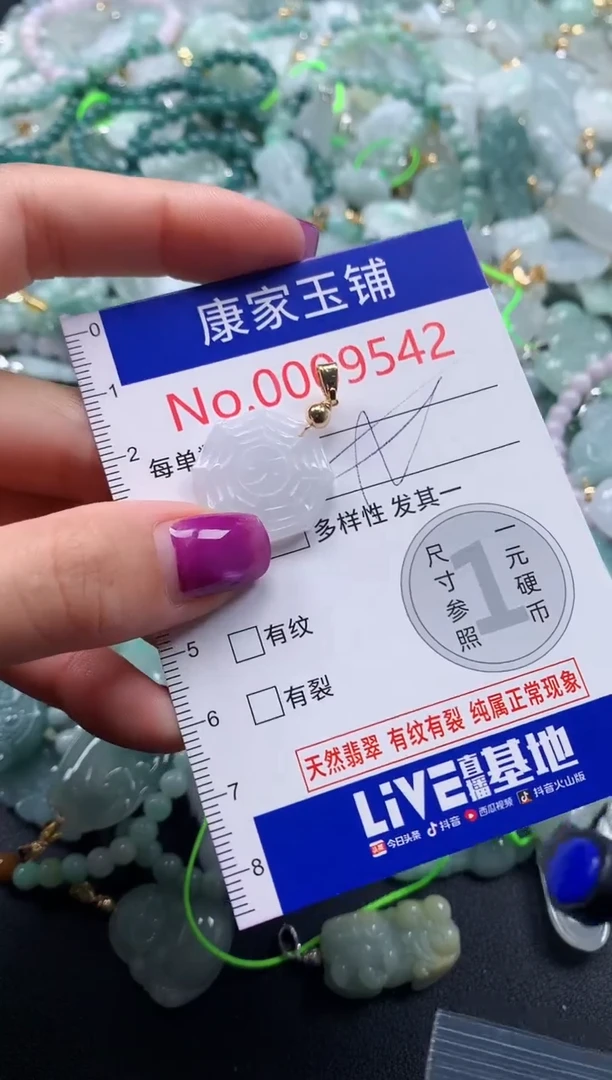颈饰未镶嵌翡翠9542