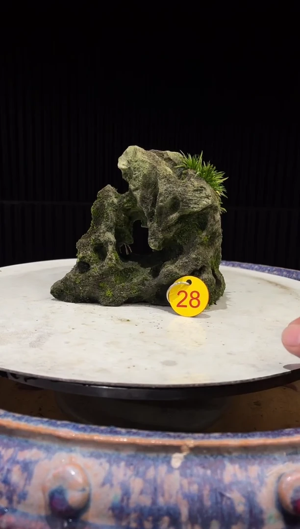 28造型吴定石一物一拍专属