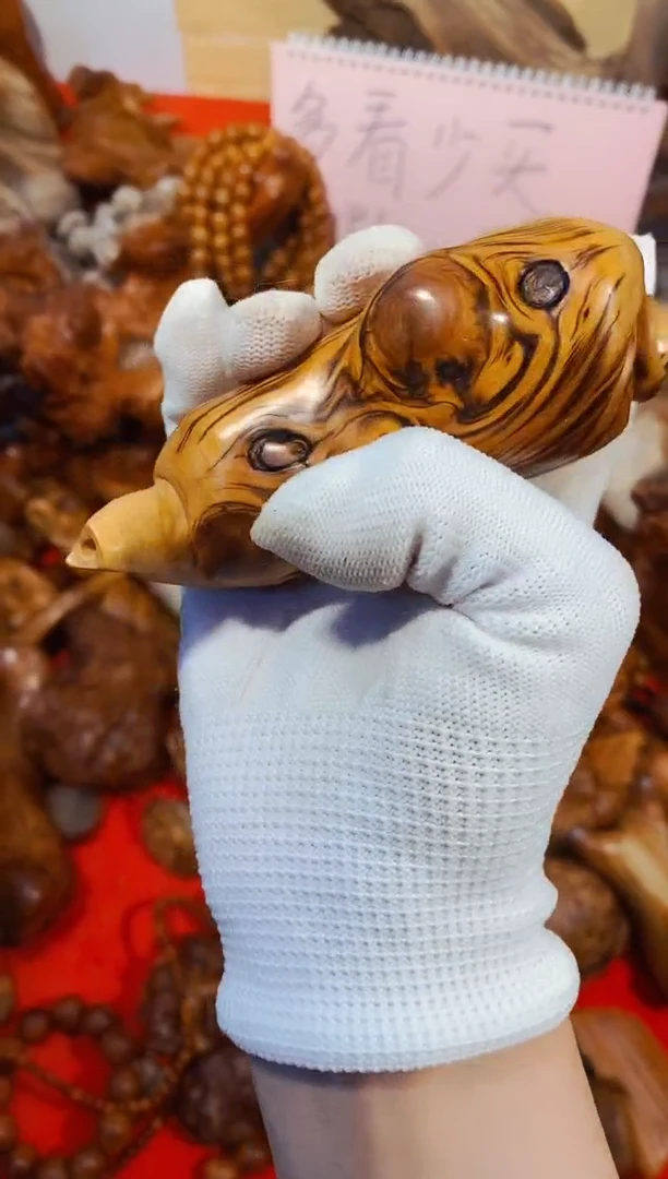 柏木38崖柏崖柏崖柏