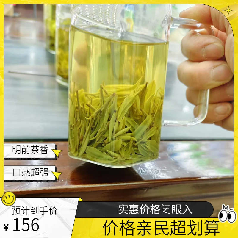 明前黄金芽浓香耐泡豆香味高山云雾绿茶买贵包退A8