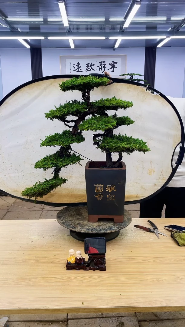 【闪购商品】0000000