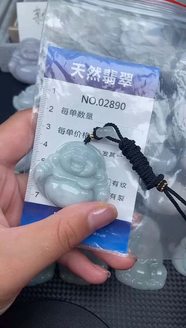 颈饰未镶嵌翡翠纯天然A货翡翠2890