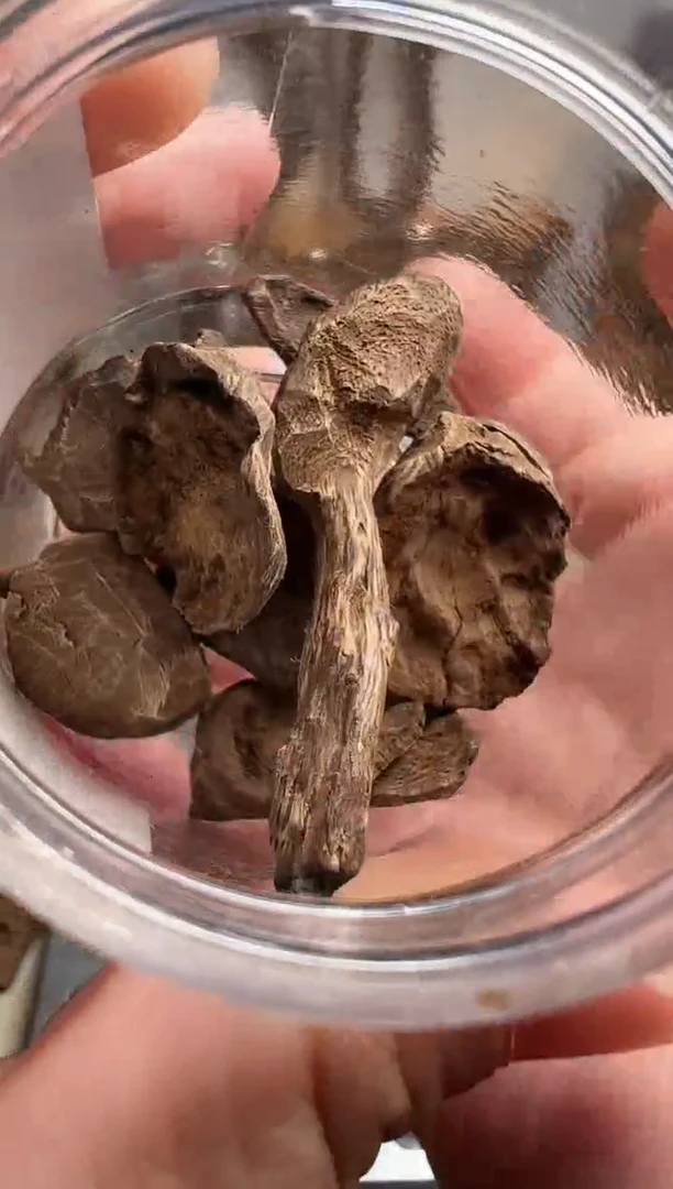 沉香沉香碎屑菲律宾沉是土沉10克