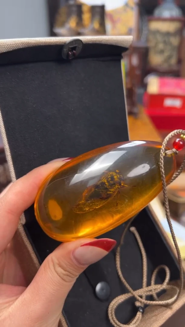 【闪购商品】琥珀颈饰未镶嵌——————————