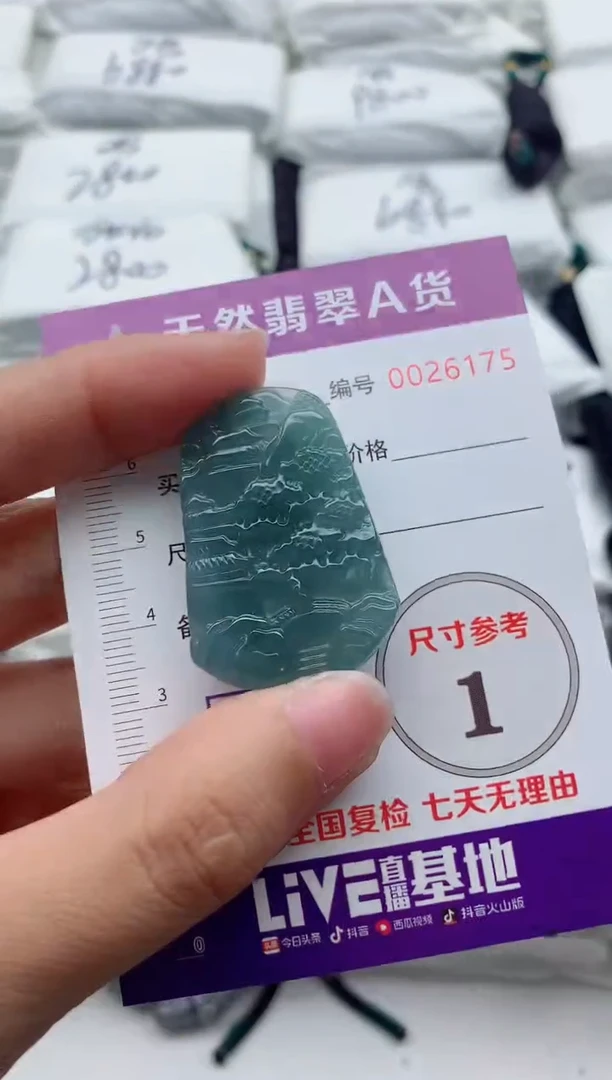 翡翠未镶嵌颈饰1