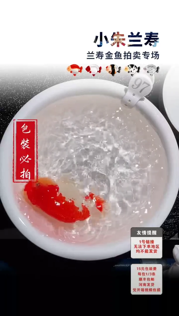 金鱼包装必拍未拍顺丰到付97号