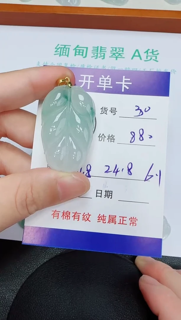 吊坠(赠链)未镶嵌翡翠30