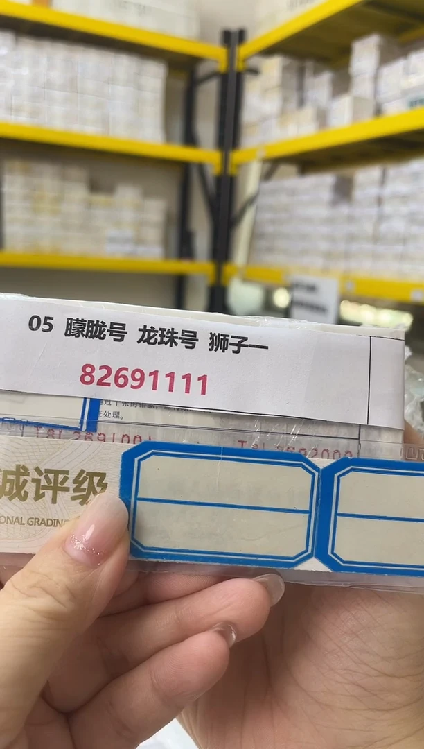 MZ 05 朦胧号 龙珠号 82691111