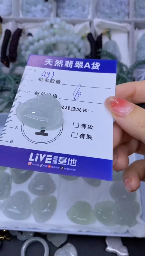 颈饰未镶嵌翡翠天然翡翠A货批量多样性发一件