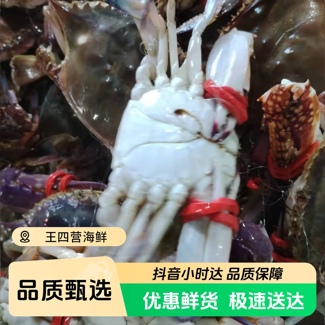 鲜活梭子蟹5斤98元