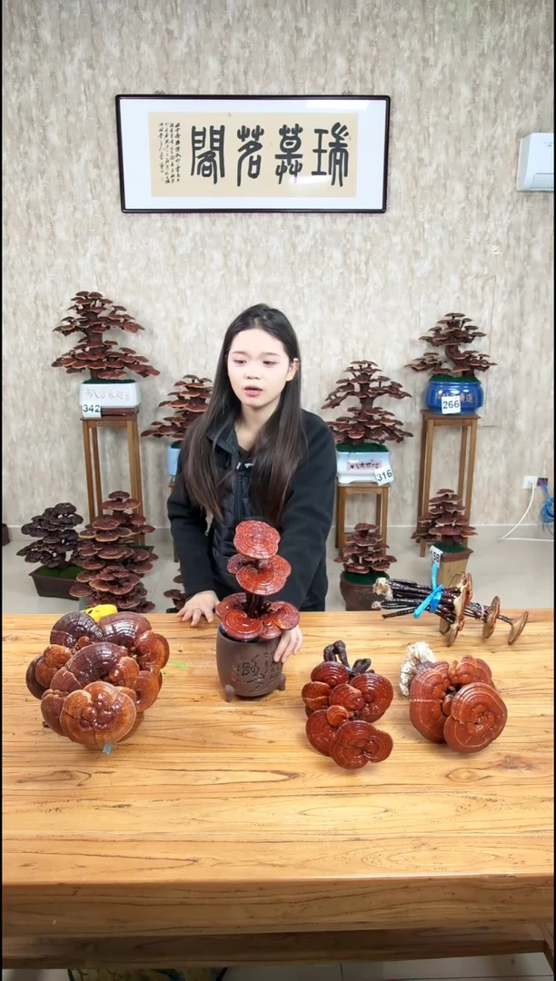 以实际为准北*狼11138.8