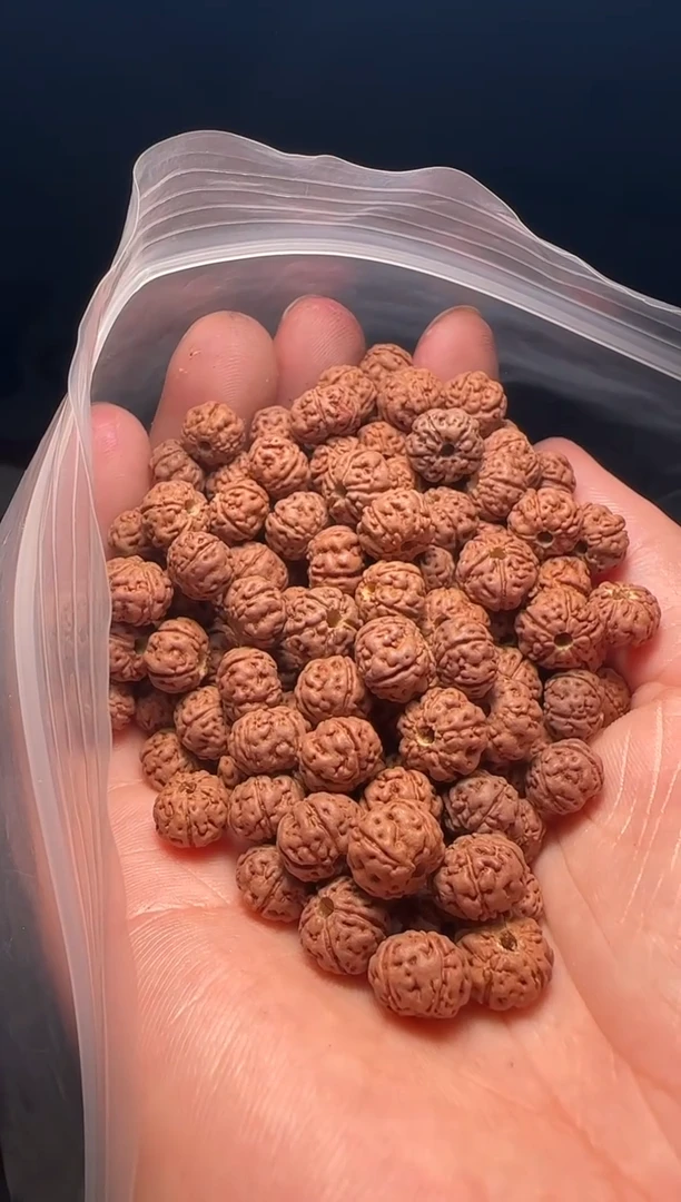手串金刚菩提非全品老树王散籽8-9mm一份一百颗