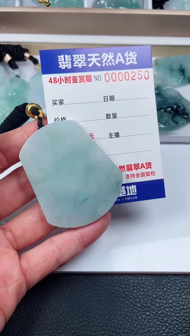 【闪购商品】翡翠颈饰未镶嵌无事牌