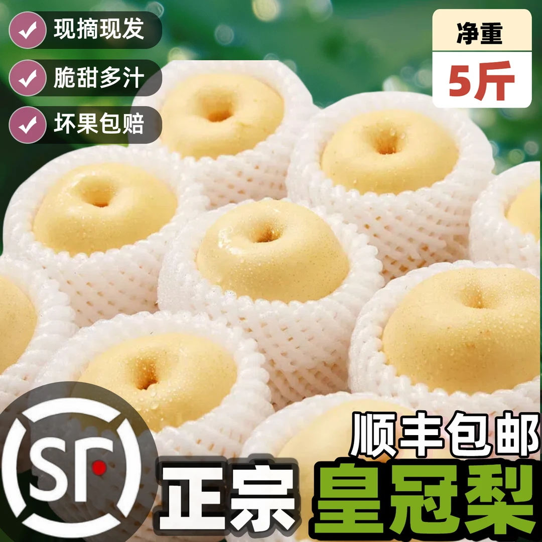 【头茬皇冠梨】现摘现发水果产地直发当季新鲜梨子整箱批发维c水果
