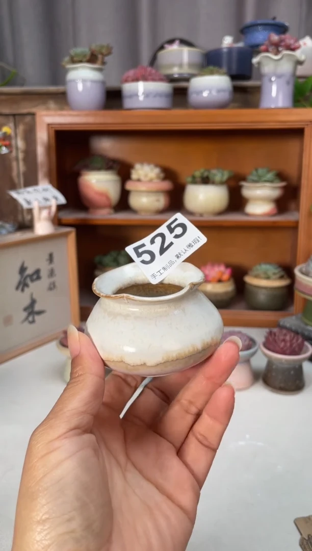 瓷片525小芳直播编号