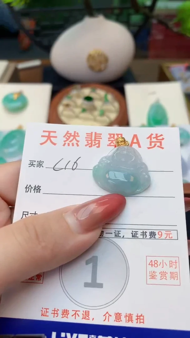 颈饰未镶嵌翡翠天然A货翡翠挂件