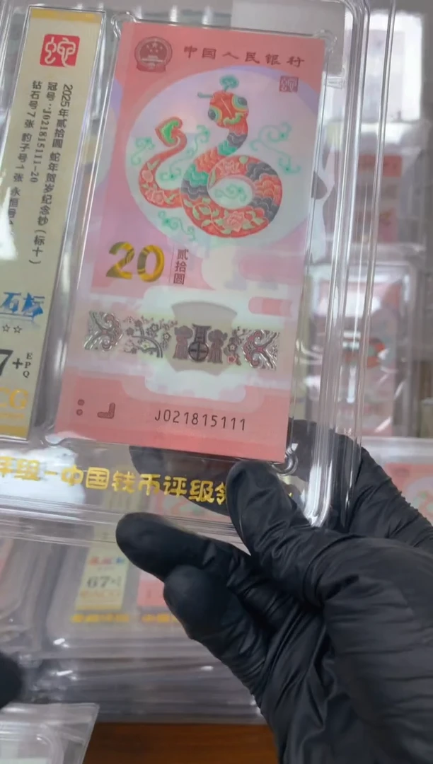 塑料2025蛇钞 真钞 评级封装