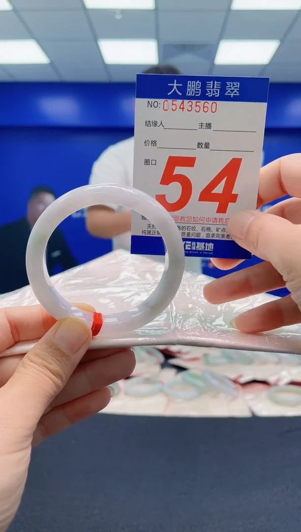未镶嵌手镯翡翠AAAAAAAAA
