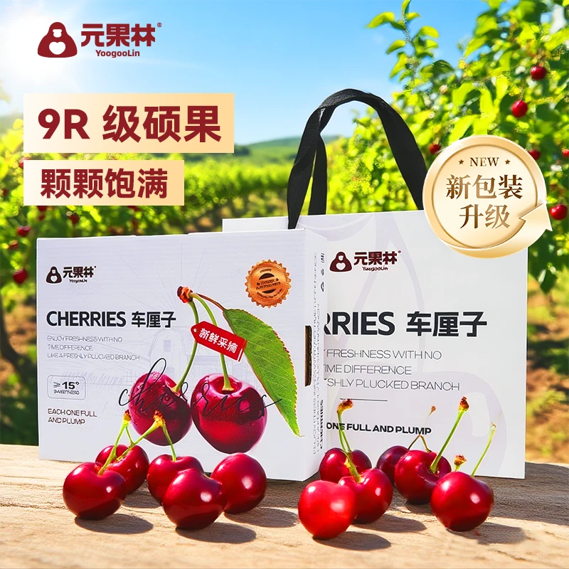 元果林Skeena斯基纳车厘子美国进口顺丰空运新鲜当季水果礼盒装