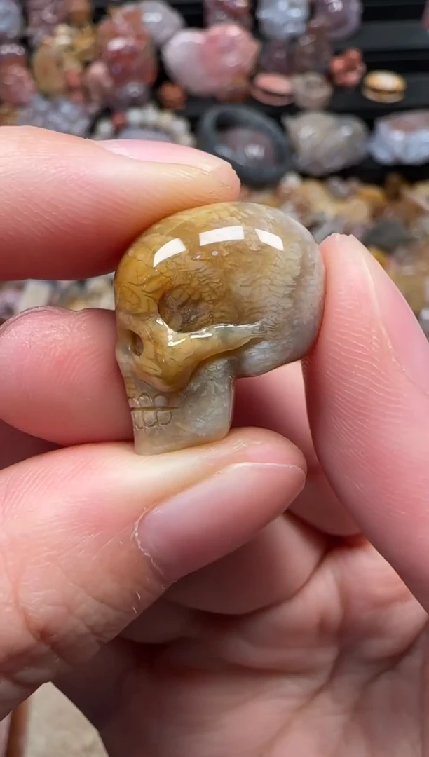 颈饰未镶嵌硅化珊瑚（珊瑚玉）705