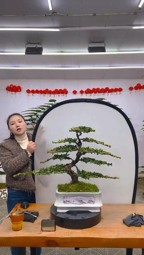 【闪购商品】盆景1