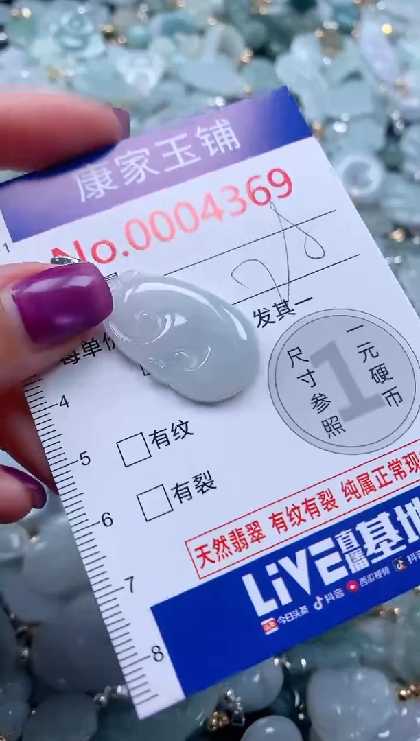 颈饰未镶嵌翡翠4369