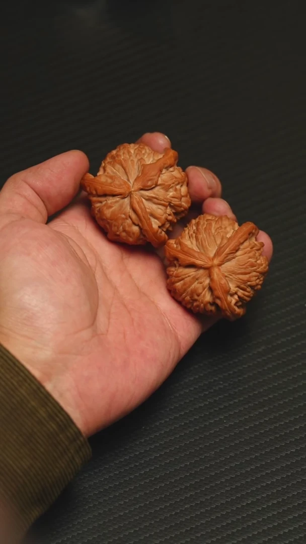 2026年精品白狮子正奔47