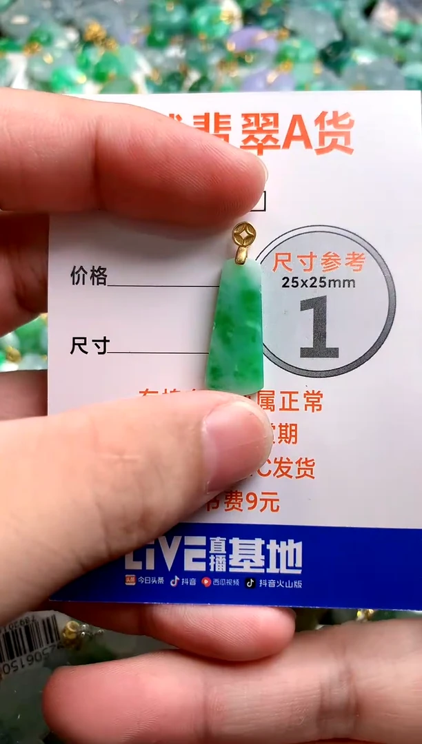 颈饰未镶嵌翡翠26100844