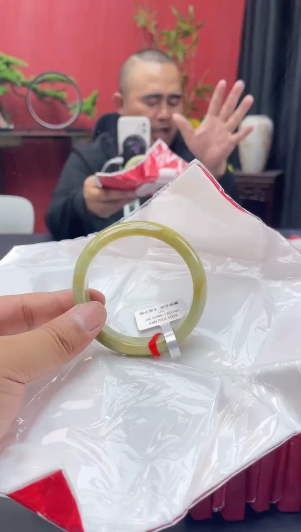 未镶嵌手镯翡翠9