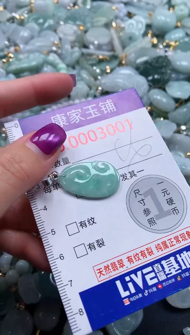 颈饰未镶嵌翡翠3001