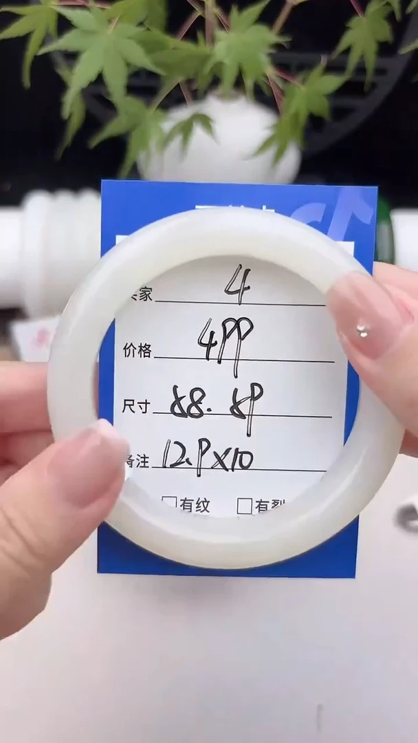 和田玉手镯未镶嵌4.白玉