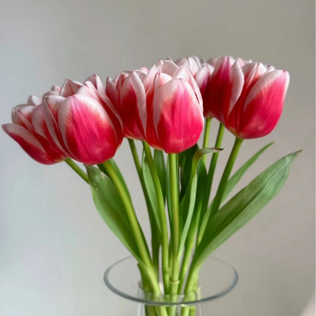 【新疆鲜花】组合福利花材（组合一单包邮）