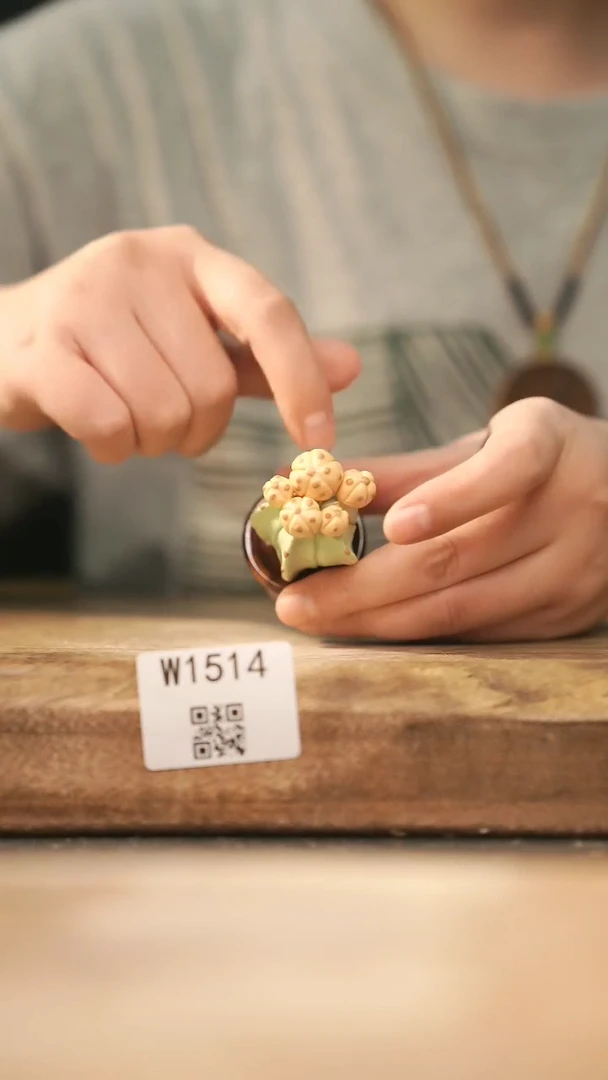 【经典福利】/ 摆件@@W1514