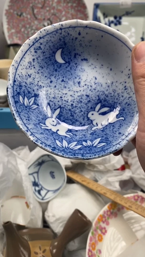 【闪购商品】瓷片479NanN  anNan