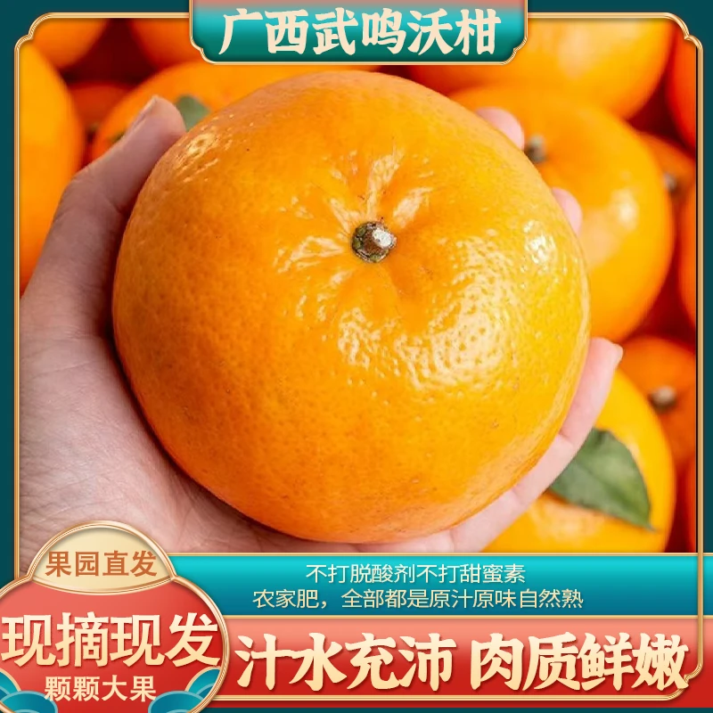 广西武鸣沃柑 A果 甜蜜多汁鲜嫩可口原产地下单现摘现发新鲜水果