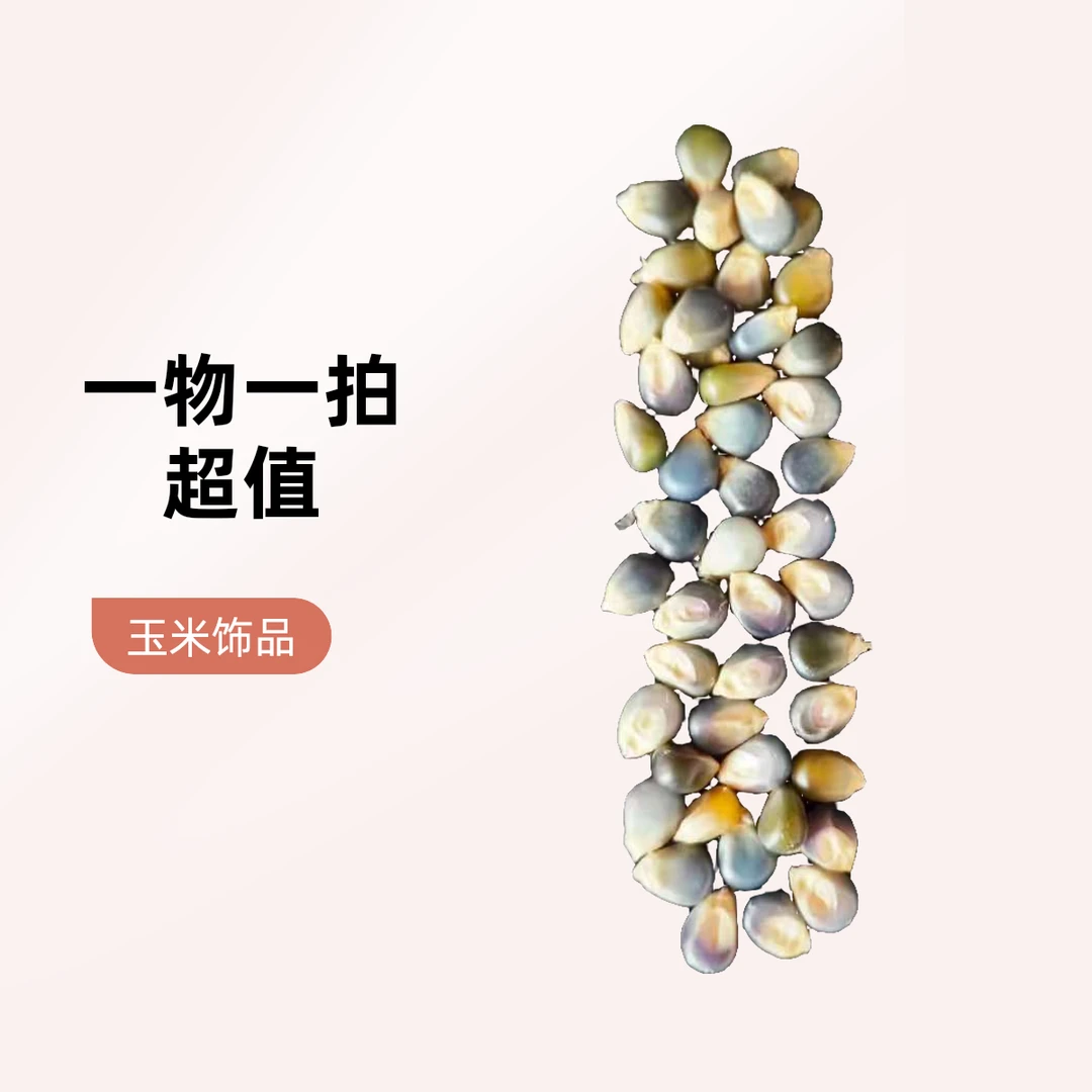10链接 直播间专拍玉米手把件文玩饰品 毛料 一物一拍
