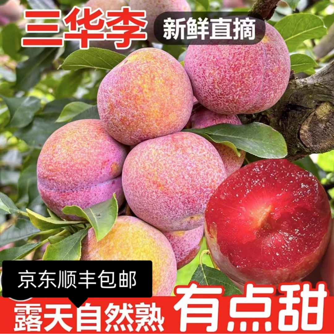 【京东顺丰速发】潮汕大妈正宗三华李新鲜水果红心李子孕妇甜酸脆