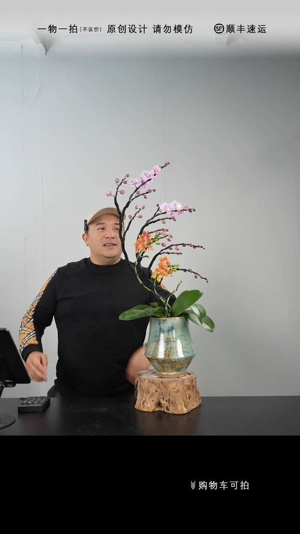 【闪购商品】027号链接【一物一拍】艺术盆景