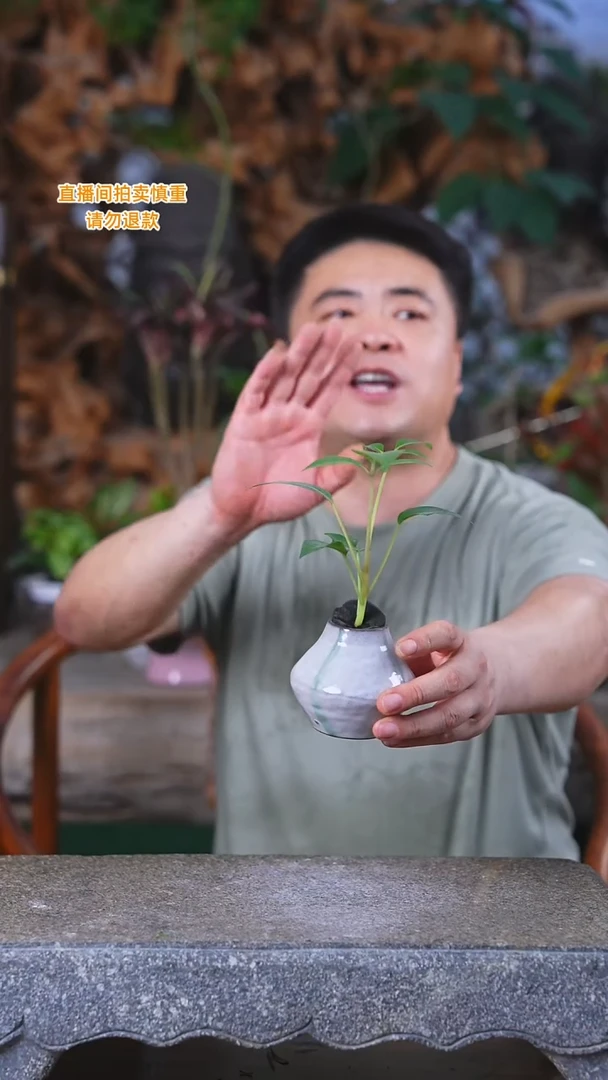 完全开放保罗瓷器瓶