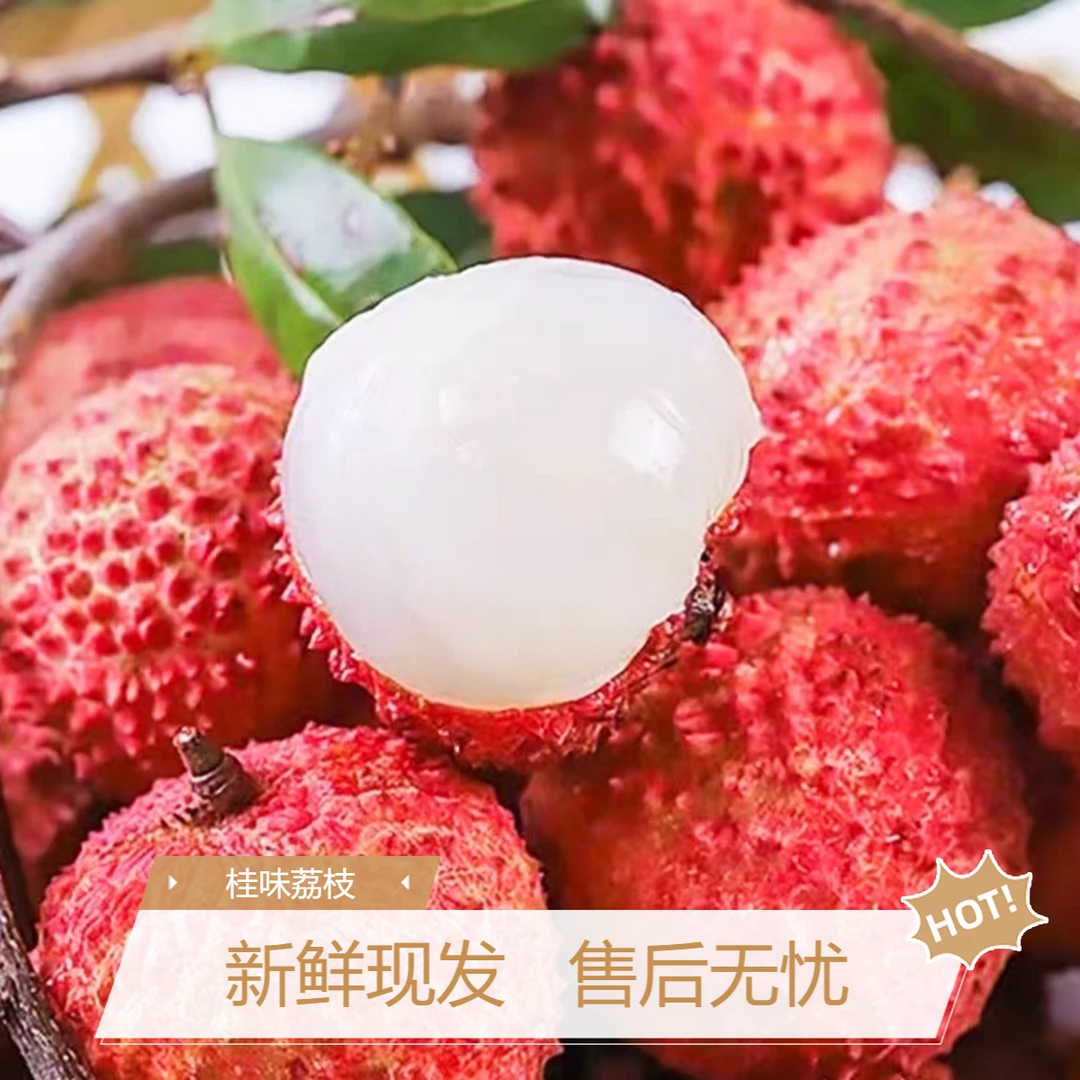 【顺丰/京东/EMS】带软枝叶发货广东桂味老树荔枝多仓发货带箱5斤