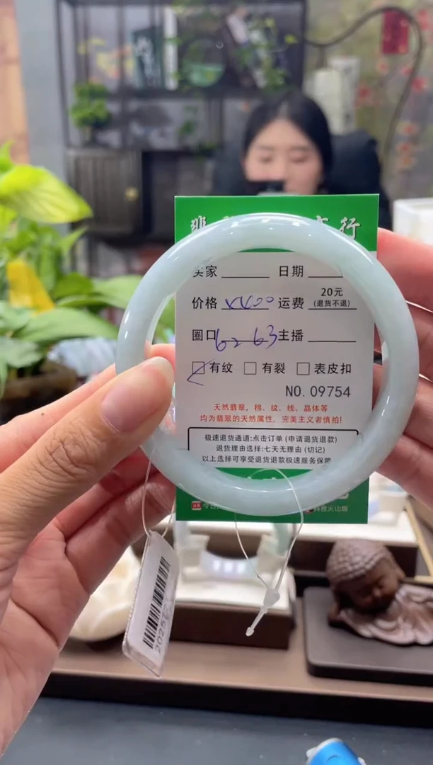 未镶嵌手镯翡翠9754****