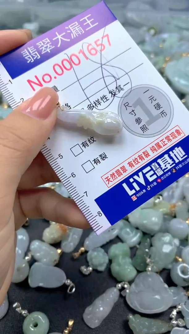 颈饰未镶嵌翡翠1657