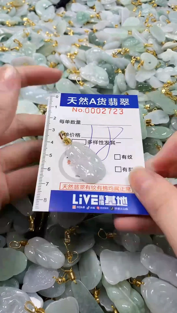 颈饰未镶嵌翡翠纯天然a货翡翠