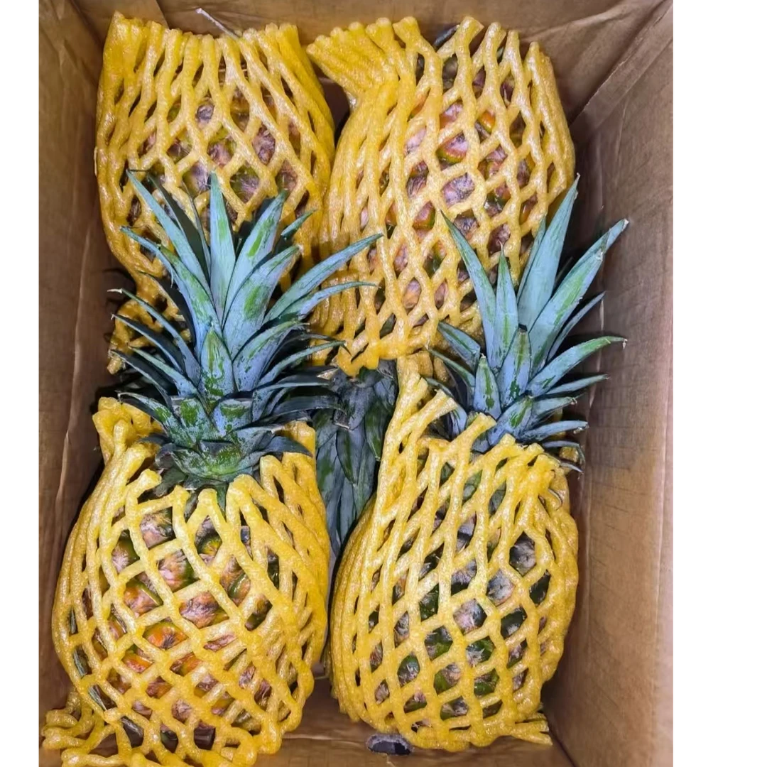 海南金钻凤梨4个/箱5斤左右