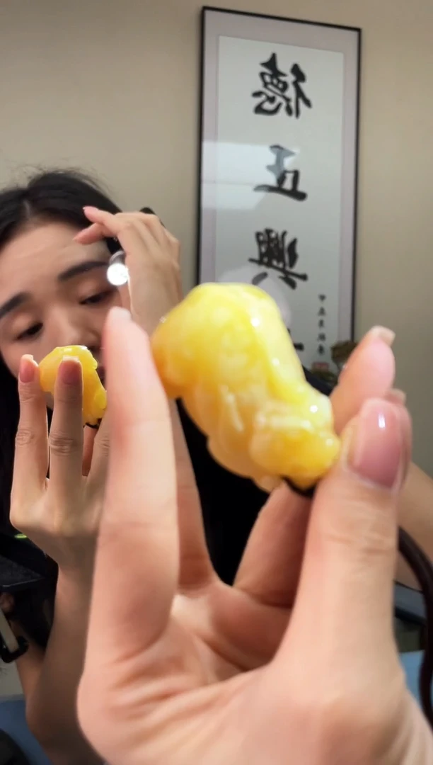 蜜蜡未镶嵌珠宝奇石T023假一罚十多样性发其一