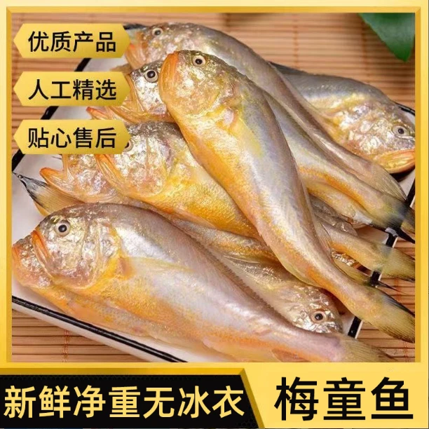 东海梅童鱼野生海捕当季新货450g/盒